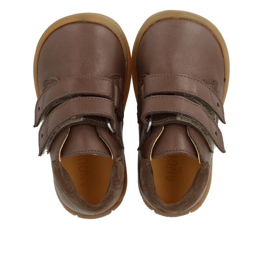 Angulus Shoe Brown